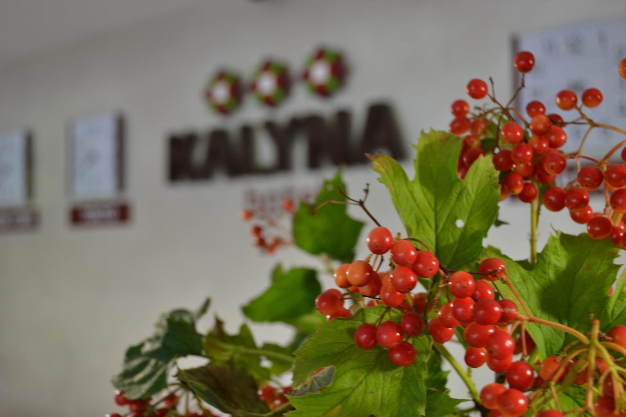 Hotel Kalyna Harkiv Exterior foto